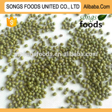 Supply Green Mung Beans at Competitive Price